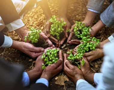 Coffee Market Report